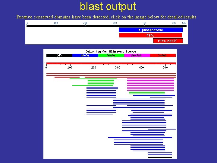 blast output Putative conserved domains have been detected, click on the image below for