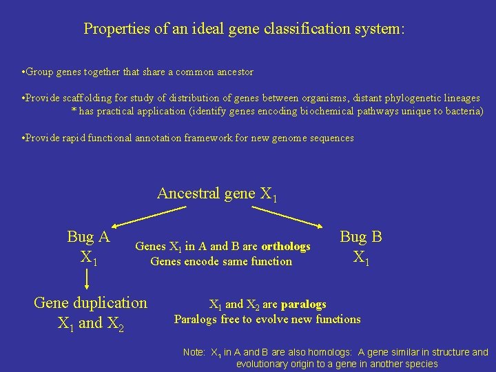 Properties of an ideal gene classification system: • Group genes together that share a