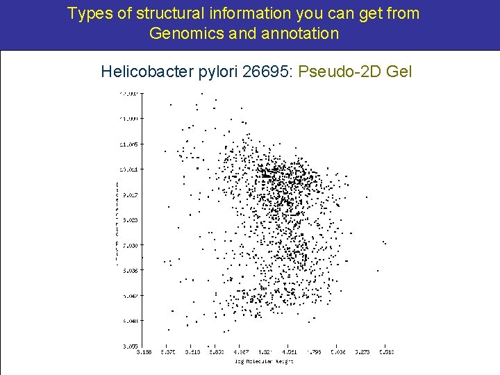 Types of structural information you can get from Genomics and annotation Helicobacter pylori 26695: