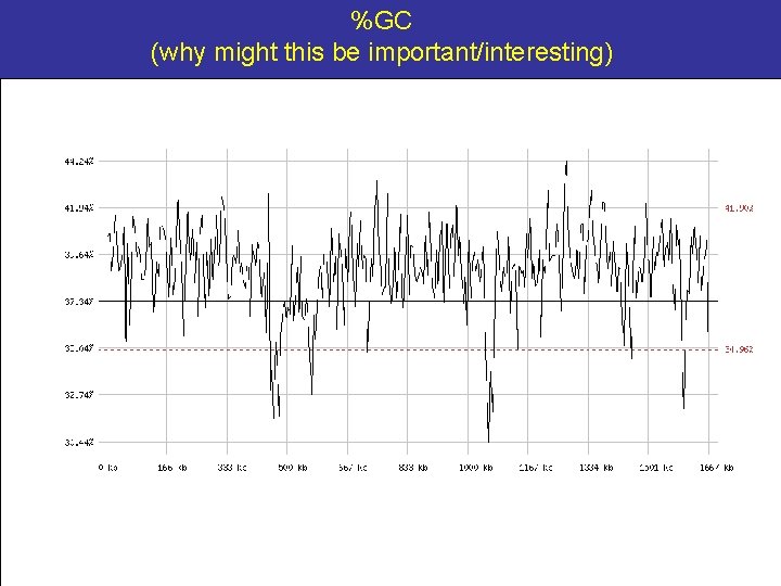 %GC (why might this be important/interesting) 