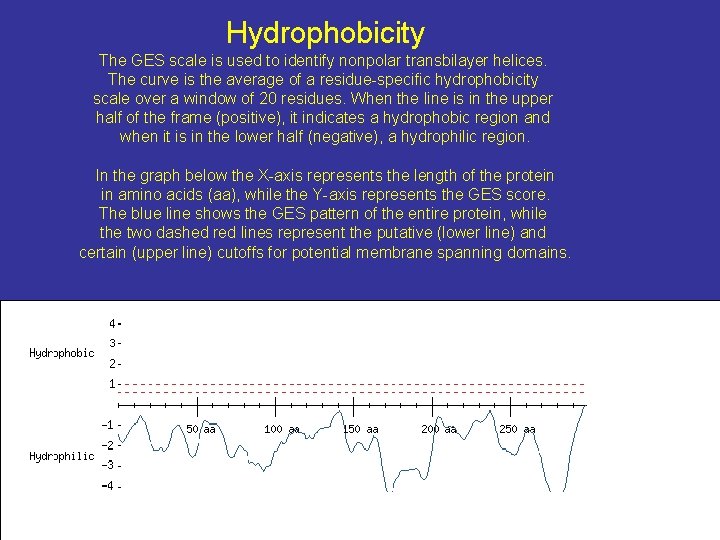 Hydrophobicity The GES scale is used to identify nonpolar transbilayer helices. The curve is