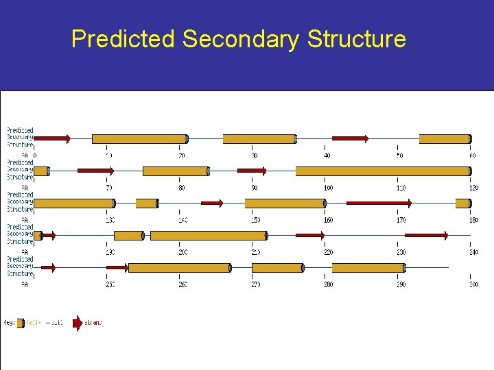 Predicted Secondary Structure 