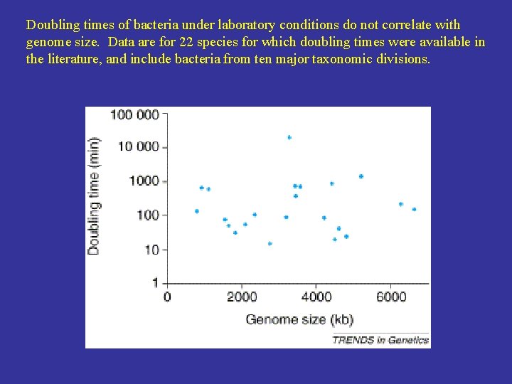 Doubling times of bacteria under laboratory conditions do not correlate with genome size. Data