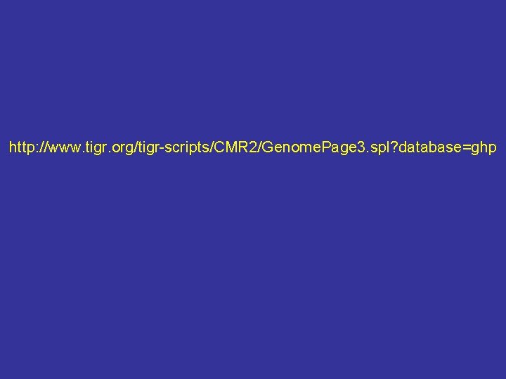 http: //www. tigr. org/tigr-scripts/CMR 2/Genome. Page 3. spl? database=ghp 