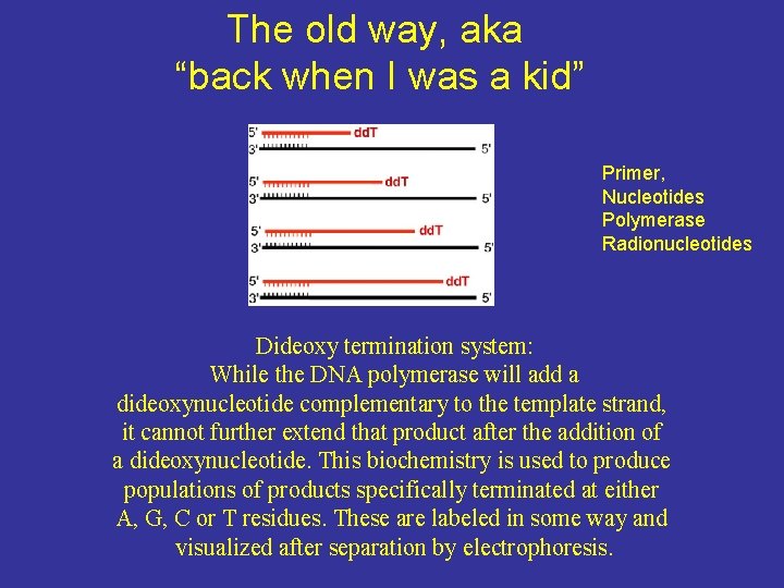 The old way, aka “back when I was a kid” Primer, Nucleotides Polymerase Radionucleotides