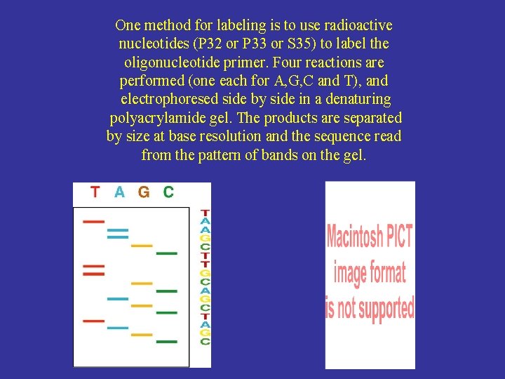 One method for labeling is to use radioactive nucleotides (P 32 or P 33