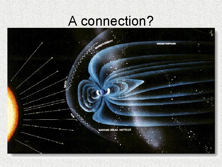 A connection? 