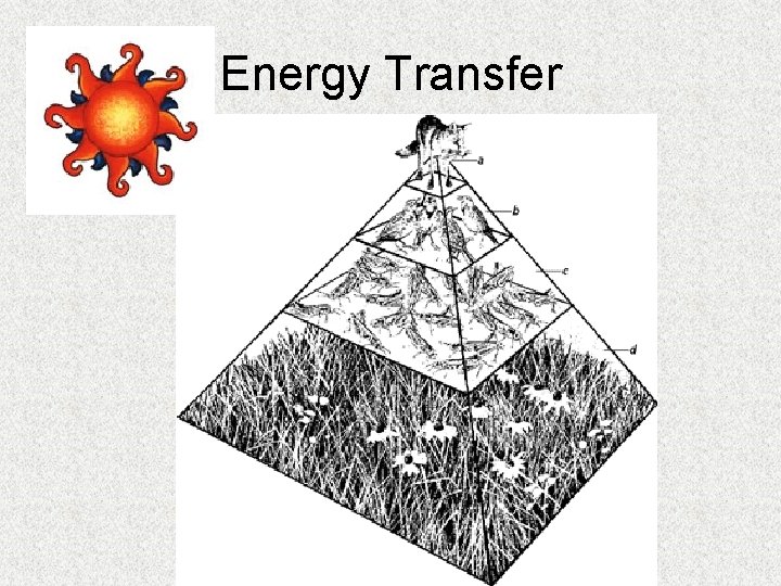 Energy Transfer 