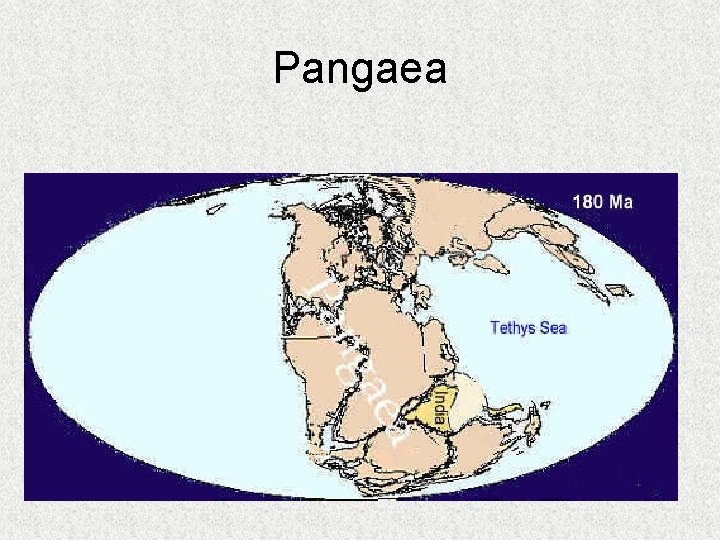 Pangaea 