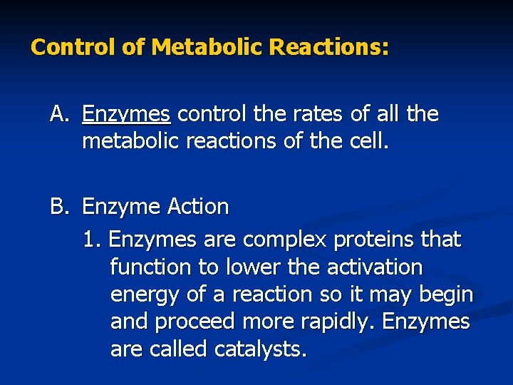 Control of Metabolic Reactions: A. Enzymes control the rates of all the metabolic reactions