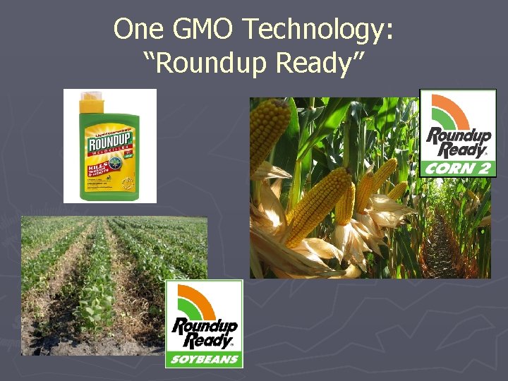 One GMO Technology: “Roundup Ready” 