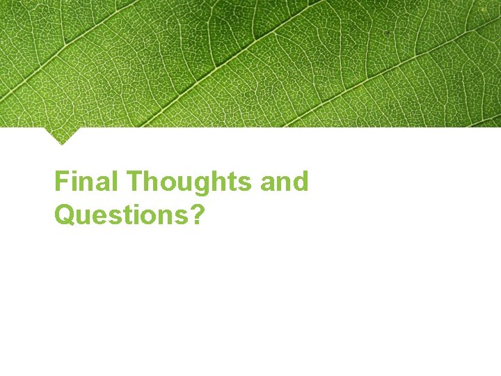 Final Thoughts and Questions? 