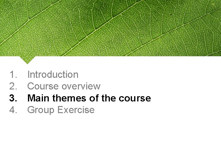 1. 2. 3. 4. Introduction Course overview Main themes of the course Group Exercise