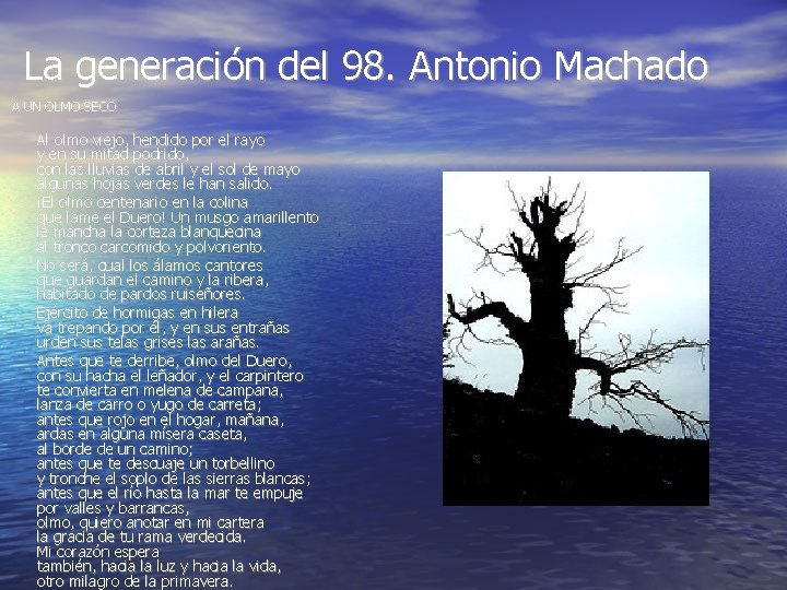 La generación del 98. Antonio Machado A UN OLMO SECO Al olmo viejo, hendido