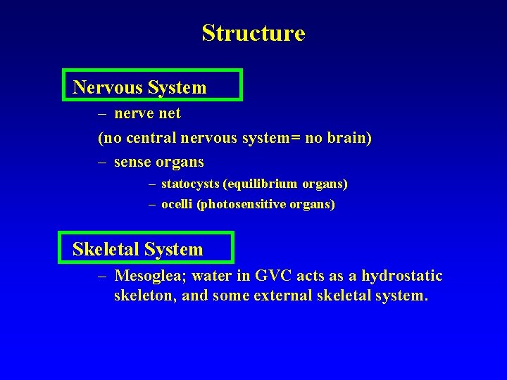 Structure Nervous System – nerve net (no central nervous system= no brain) – sense