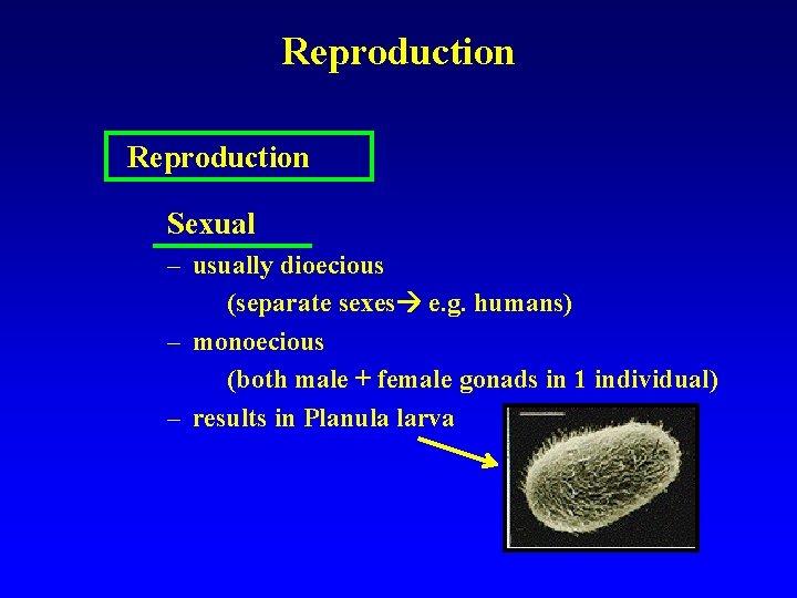 Reproduction Sexual – usually dioecious (separate sexes e. g. humans) – monoecious (both male