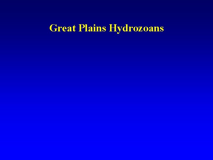 Great Plains Hydrozoans 