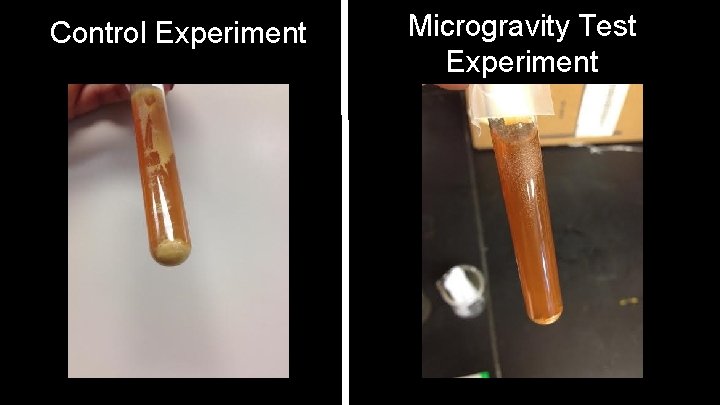 Control Experiment Microgravity Test Experiment 