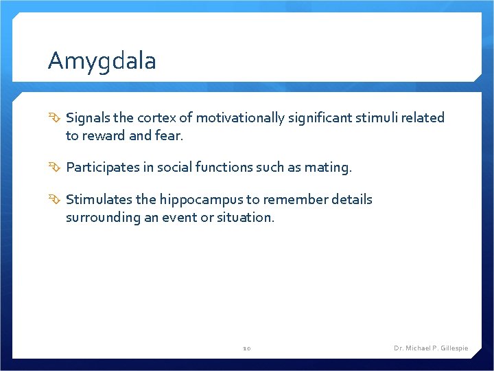 Amygdala Signals the cortex of motivationally significant stimuli related to reward and fear. Participates
