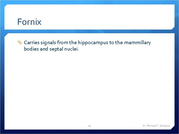 Fornix Carries signals from the hippocampus to the mammillary bodies and septal nuclei. 11