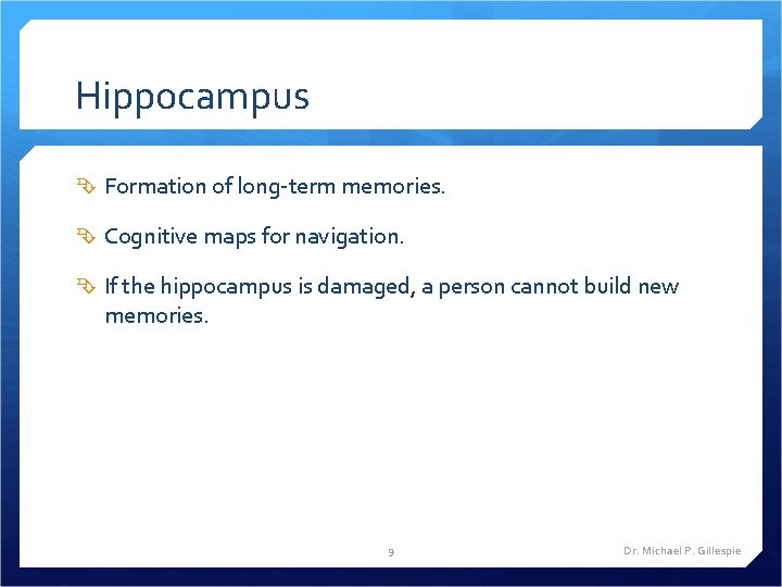 Hippocampus Formation of long-term memories. Cognitive maps for navigation. If the hippocampus is damaged,