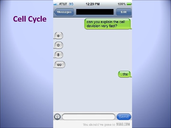 Cell Cycle 