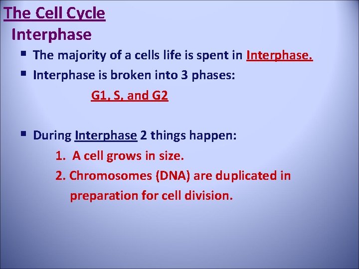 The Cell Cycle Interphase § The majority of a cells life is spent in