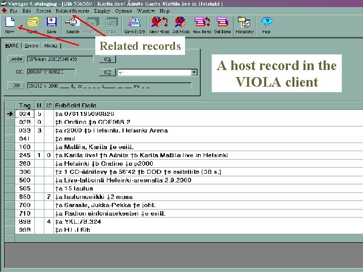 Related records A host record in the VIOLA client 