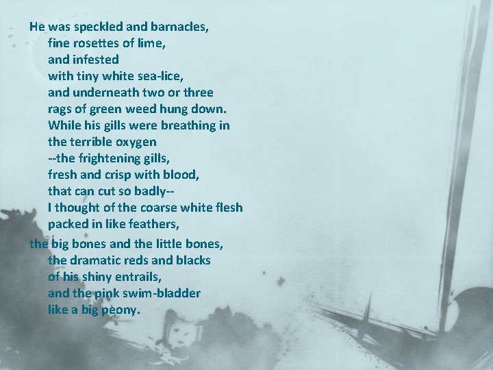 He was speckled and barnacles, fine rosettes of lime, and infested with tiny white