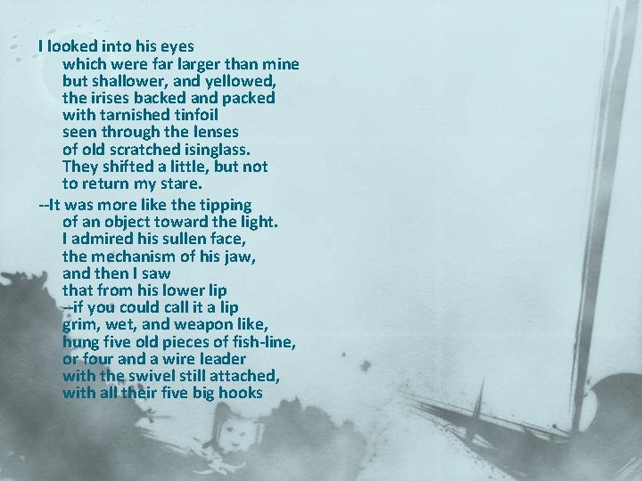 I looked into his eyes which were far larger than mine but shallower, and