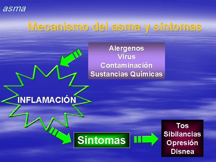 asma Mecanismo del asma y síntomas Alergenos Virus Contaminación Sustancias Químicas INFLAMACIÓN Síntomas Tos