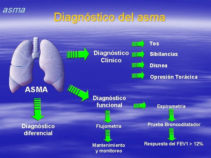 asma Diagnóstico del asma Tos Diagnóstico Clínico Sibilancias Disnea Opresión Torácica ASMA Diagnóstico funcional