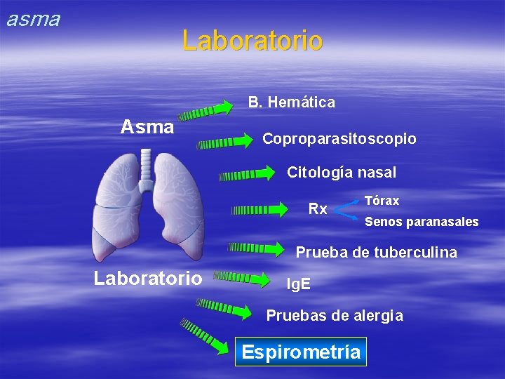 asma Laboratorio B. Hemática Asma Coproparasitoscopio Citología nasal Rx Tórax Senos paranasales Prueba de