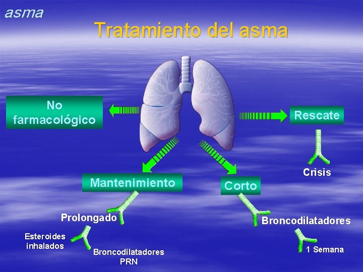 asma Tratamiento del asma No farmacológico Mantenimiento Prolongado Esteroides inhalados Broncodilatadores PRN Rescate Crisis