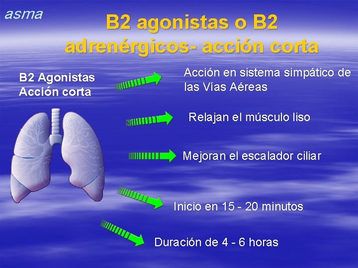 asma B 2 agonistas o B 2 adrenérgicos- acción corta B 2 Agonistas Acción