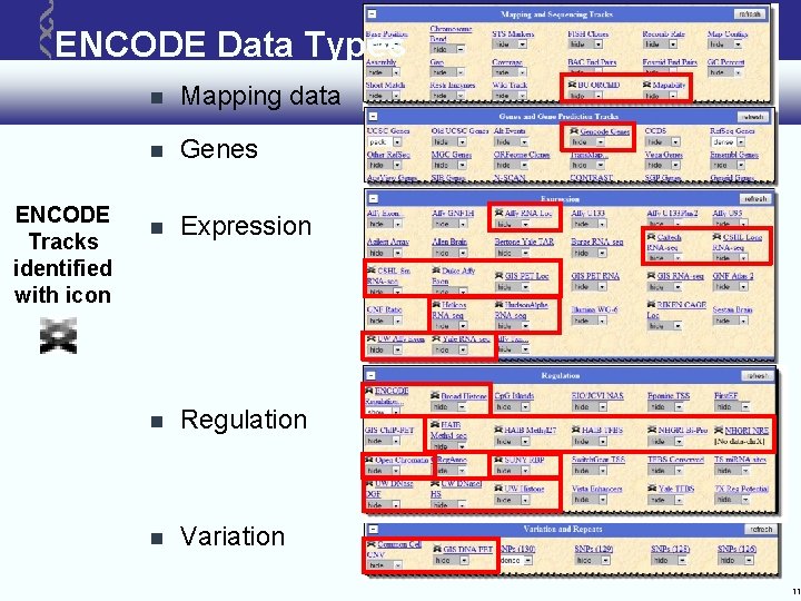 ENCODE Data Types ENCODE Tracks identified with icon Mapping data Genes Expression Regulation Variation ENCODE Data Types ENCODE Tracks identified with icon Mapping data Genes Expression Regulation Variation