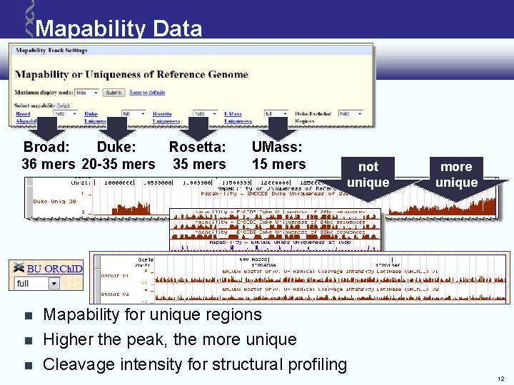 Mapability Data Broad: Duke: Rosetta: 36 mers 20 -35 mers UMass: 15 mers not Mapability Data Broad: Duke: Rosetta: 36 mers 20 -35 mers UMass: 15 mers not