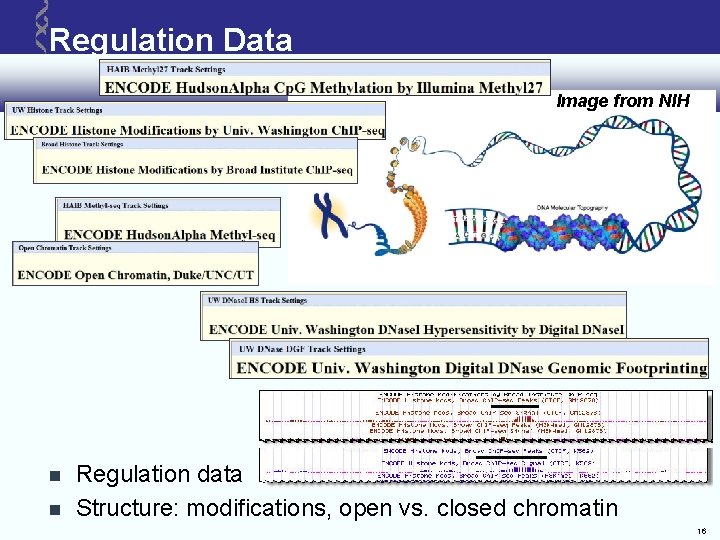 Regulation Data Image from NIH Regulation data Structure: modifications, open vs. closed chromatin 16 Regulation Data Image from NIH Regulation data Structure: modifications, open vs. closed chromatin 16
