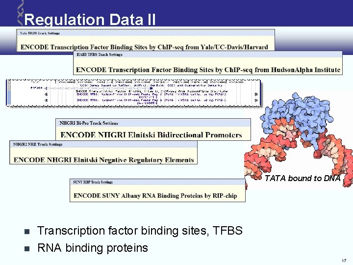 Regulation Data II TATA bound to DNA Transcription factor binding sites, TFBS RNA binding Regulation Data II TATA bound to DNA Transcription factor binding sites, TFBS RNA binding