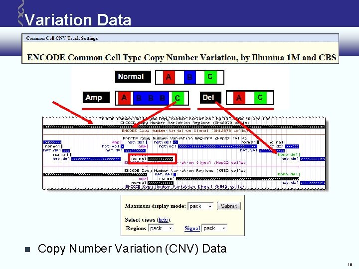 Variation Data Copy Number Variation (CNV) Data 18 Variation Data Copy Number Variation (CNV) Data 18