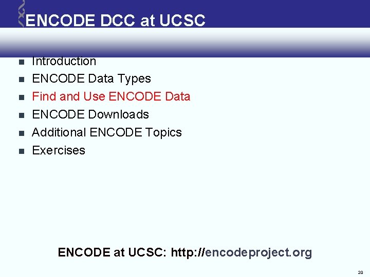 ENCODE DCC at UCSC Introduction ENCODE Data Types Find and Use ENCODE Data ENCODE ENCODE DCC at UCSC Introduction ENCODE Data Types Find and Use ENCODE Data ENCODE
