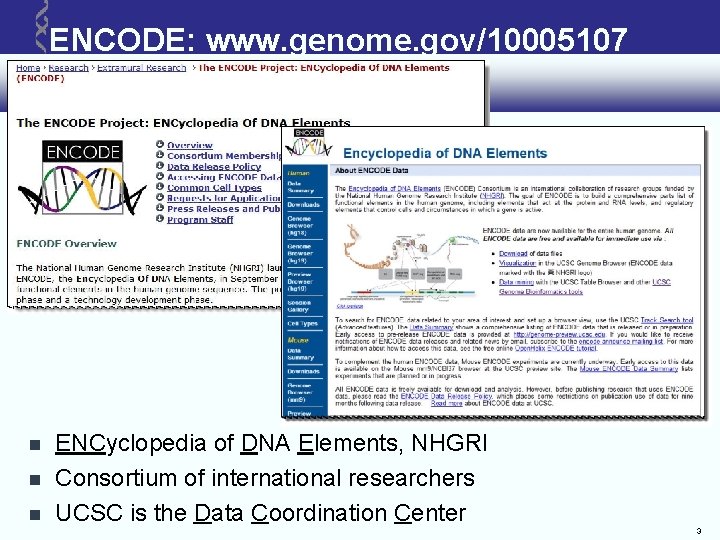 ENCODE: www. genome. gov/10005107 ENCyclopedia of DNA Elements, NHGRI Consortium of international researchers UCSC ENCODE: www. genome. gov/10005107 ENCyclopedia of DNA Elements, NHGRI Consortium of international researchers UCSC