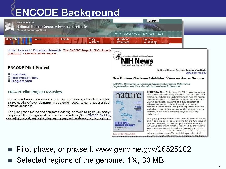 ENCODE Background Pilot phase, or phase I: www. genome. gov/26525202 Selected regions of the ENCODE Background Pilot phase, or phase I: www. genome. gov/26525202 Selected regions of the