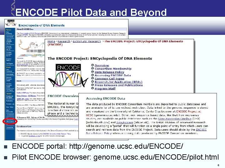 ENCODE Pilot Data and Beyond ENCODE portal: http: //genome. ucsc. edu/ENCODE/ Pilot ENCODE browser: ENCODE Pilot Data and Beyond ENCODE portal: http: //genome. ucsc. edu/ENCODE/ Pilot ENCODE browser: