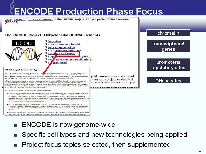 ENCODE Production Phase Focus chromatin transcriptome/ genes promoters/ regulatory sites DNase sites ENCODE is ENCODE Production Phase Focus chromatin transcriptome/ genes promoters/ regulatory sites DNase sites ENCODE is