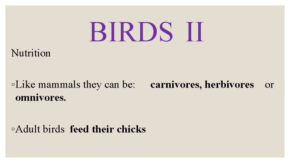 Nutrition BIRDS II ◦ Like mammals they can be: omnivores. ◦ Adult birds feed