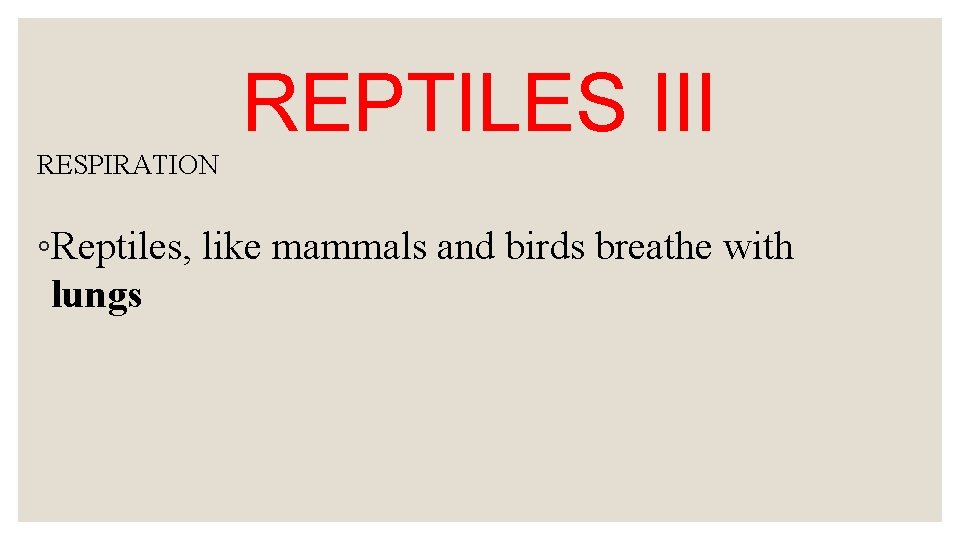 REPTILES III RESPIRATION ◦Reptiles, like mammals and birds breathe with lungs 