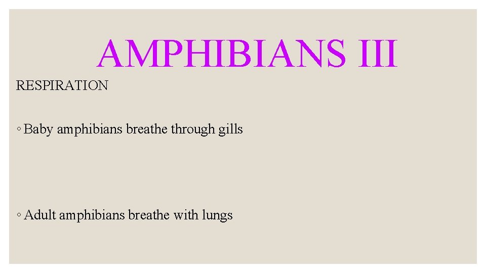 AMPHIBIANS III RESPIRATION ◦ Baby amphibians breathe through gills ◦ Adult amphibians breathe with