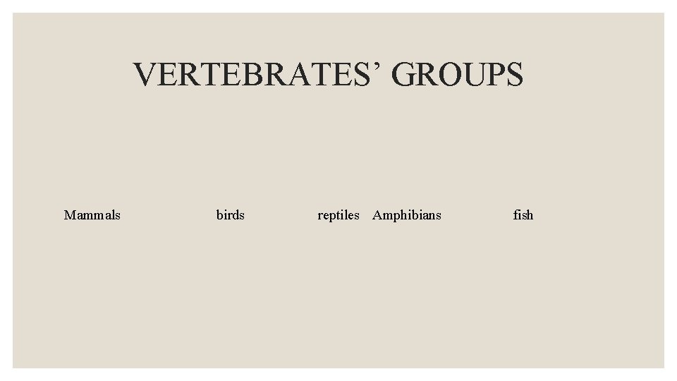 VERTEBRATES’ GROUPS Mammals birds reptiles Amphibians fish 