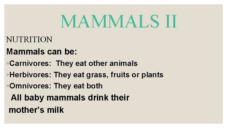 MAMMALS II NUTRITION Mammals can be: ◦ Carnivores: They eat other animals ◦ Herbivores: